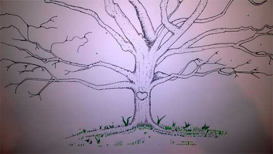 LA IMPORTANCIA DEL DIBUJO NATURAL - TRANSGENERACIONAL