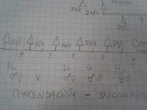 Dibujo Transgeneracional